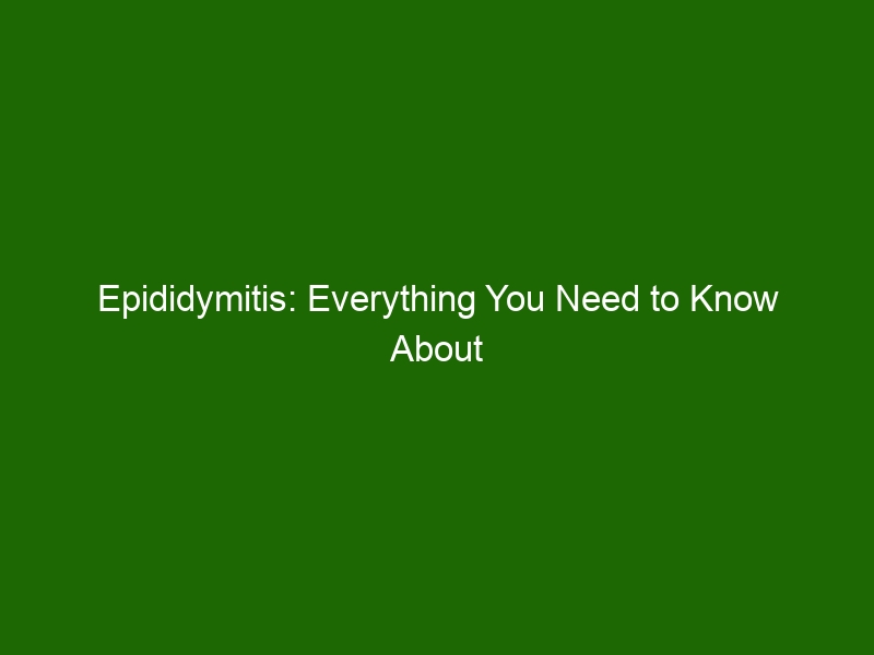 Testicle Mole Everything You Need To Know - mh4b6my