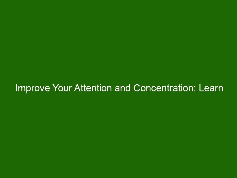Improve Your Attention and Concentration Learn How to Focus and