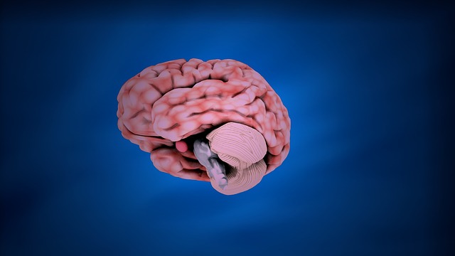 Mind-Body Medicine