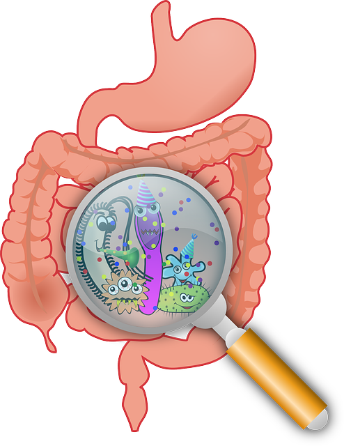 Digestive Health