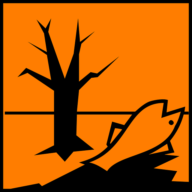 Dangers Mercury