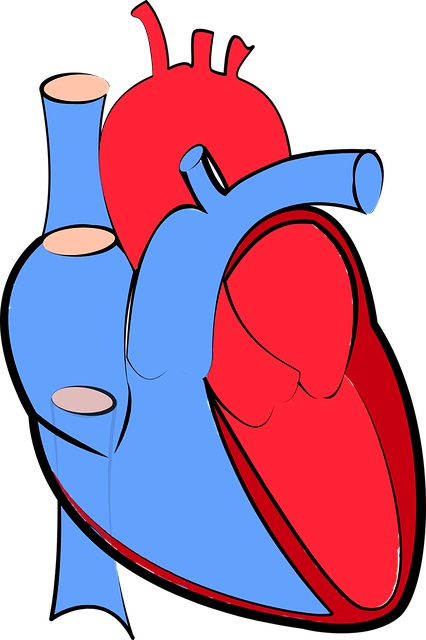 Cardiovascular Disease