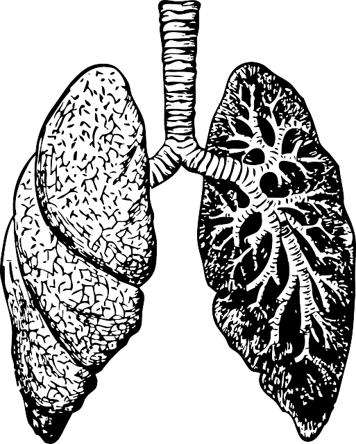Respiratory Disease