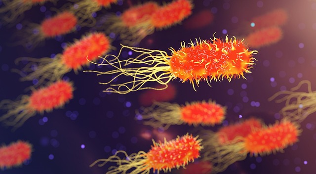 genetics disease