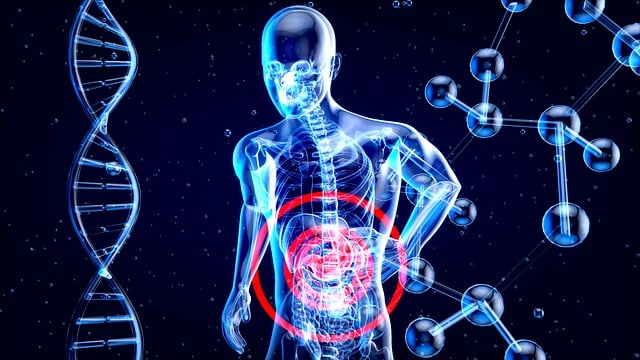 Digestive Health