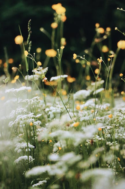 Where bloom