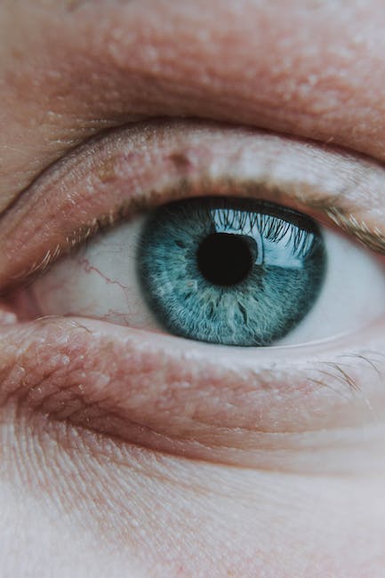 About Ocular