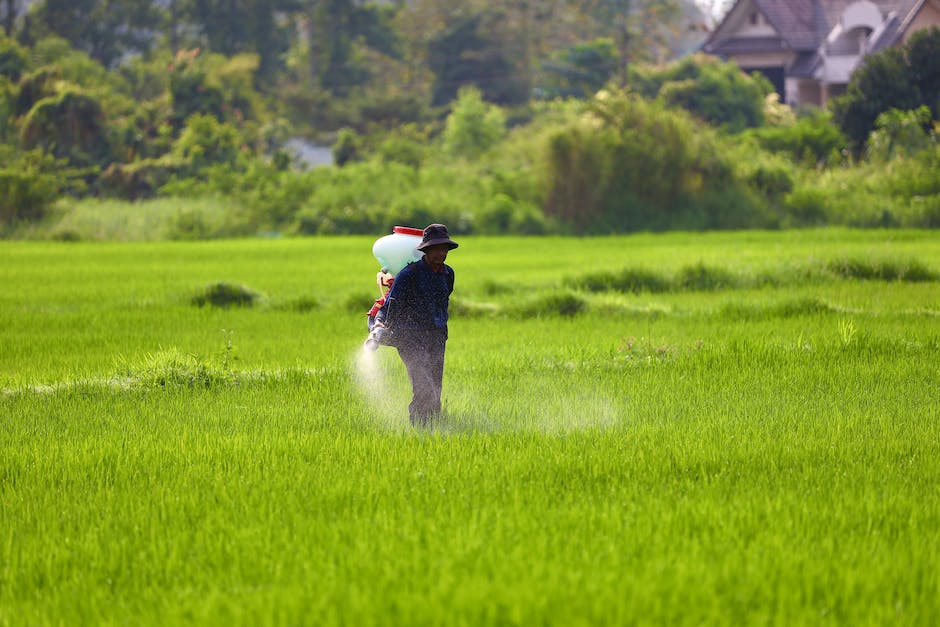 Fertilizer About