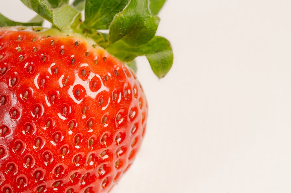 macros nutrition