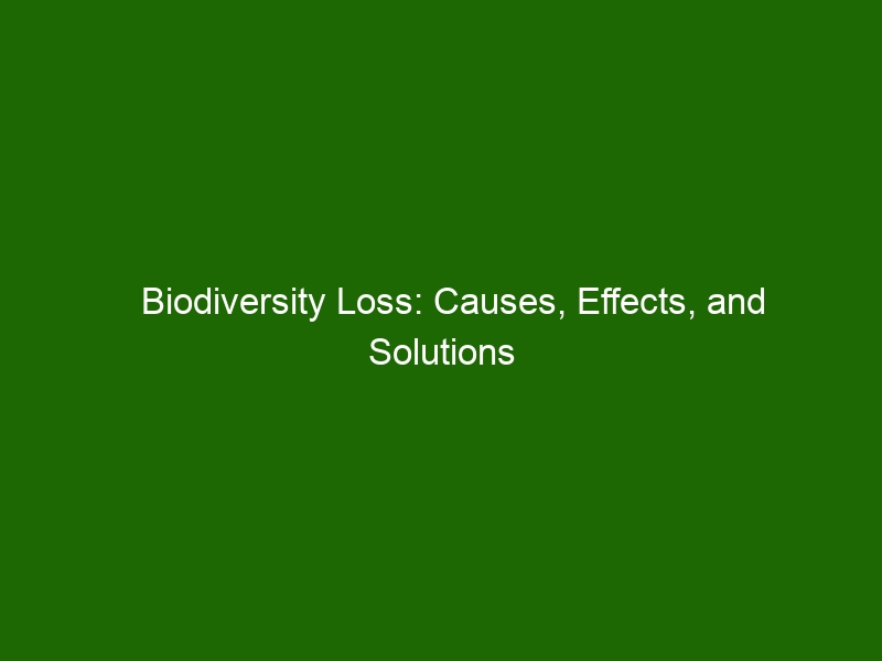 Biodiversity Loss: Unpacking the Crisis – Causes, Devastating Impacts, and Urgent Solutions